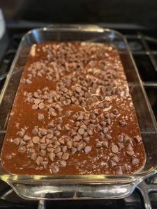 Scouts' Brownies from: a Cozy Mystery Dying for Chocolate - Literary Baker
