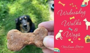 Gingerbread treats for dogs and humans.